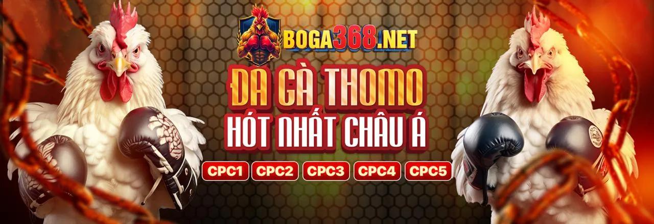 Phương Thức Thanh Toán An Toàn tại 123b link mới